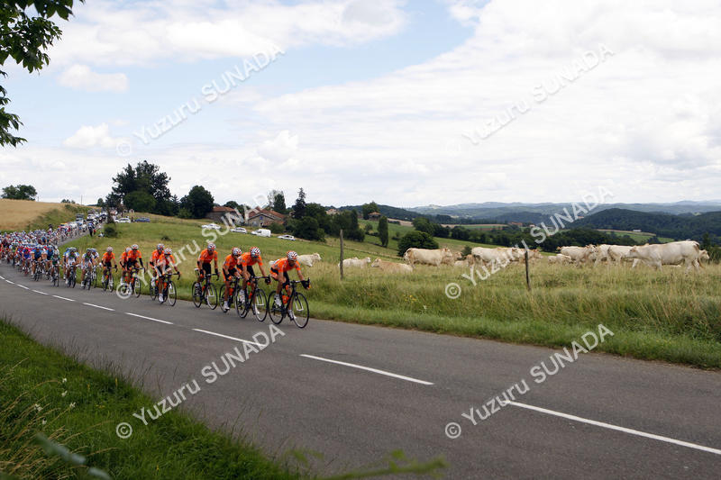 Peloton at pasture001p.jpg